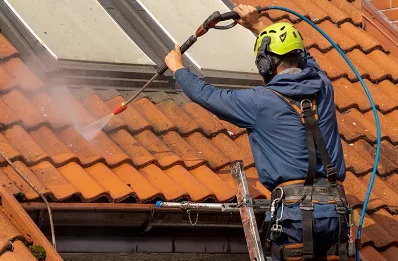 Démoussage et hydrofuge de toiture à Trézény
